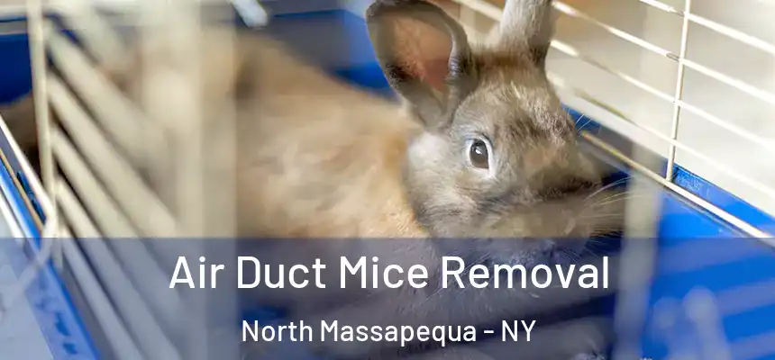  Air Duct Mice Removal North Massapequa - NY