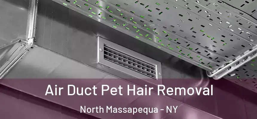  Air Duct Pet Hair Removal North Massapequa - NY