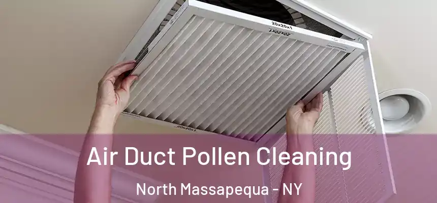 Air Duct Pollen Cleaning North Massapequa - NY