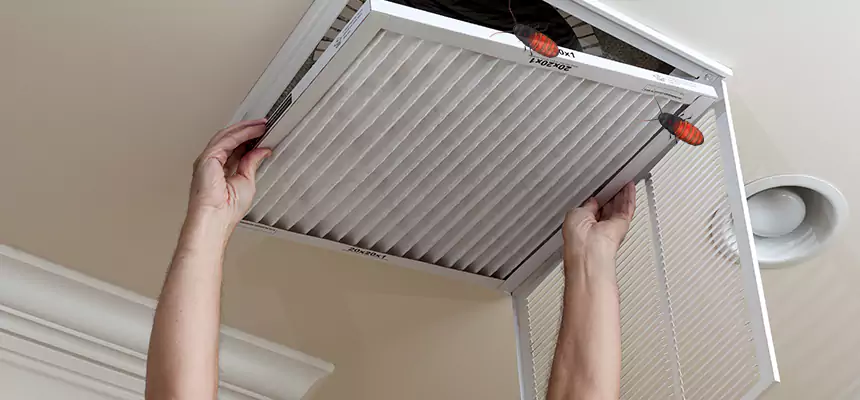 Preventive Cockroach-Proofing for Ducts in North Massapequa