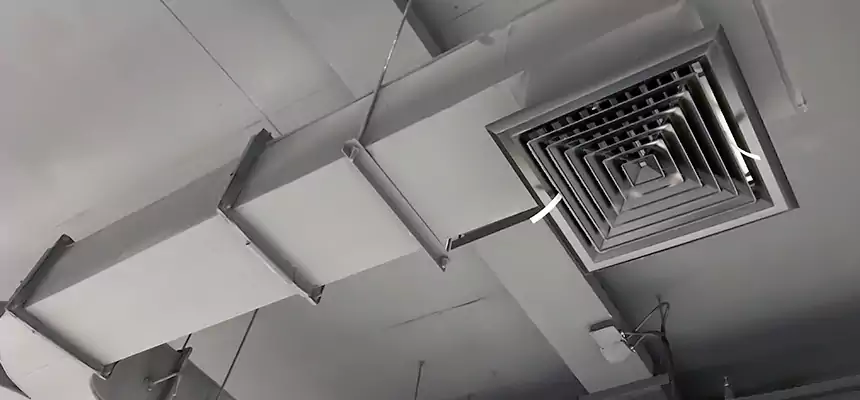 Restorative Allergy Relief Vent Cleaning – Coil, Blower & Housing Detail in North Massapequa