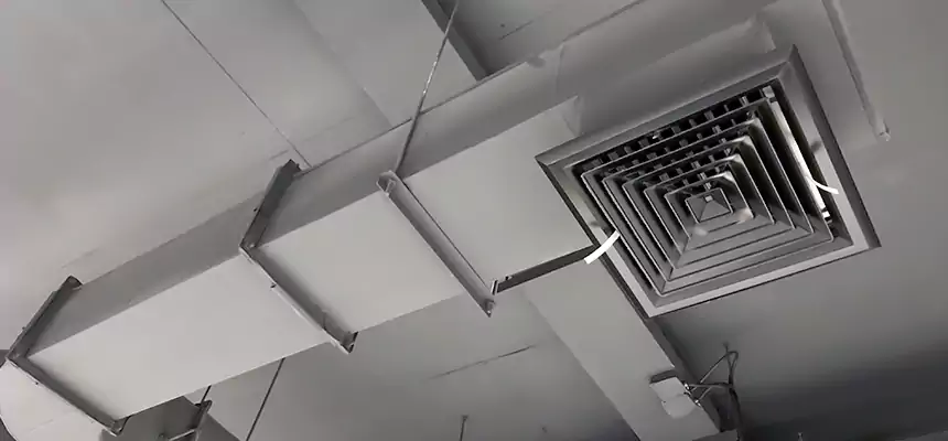 Our Pest Removal From Ducts Services in North Massapequa, NY