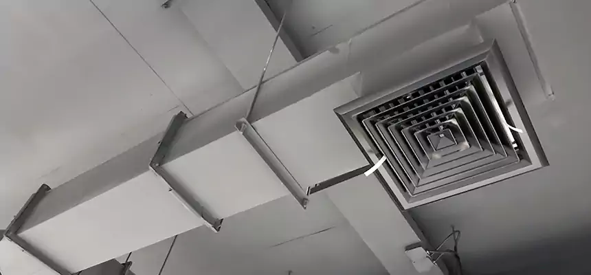 Our Rodent Droppings In Vents Services in North Massapequa, NY