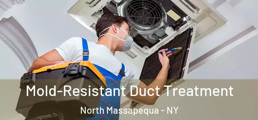  Mold-Resistant Duct Treatment North Massapequa - NY