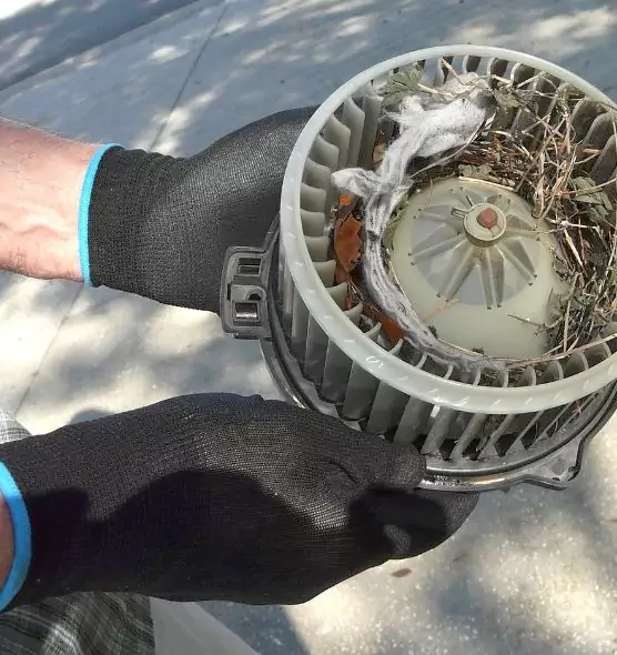 About Air Duct Mice Removal in North Massapequa, NY