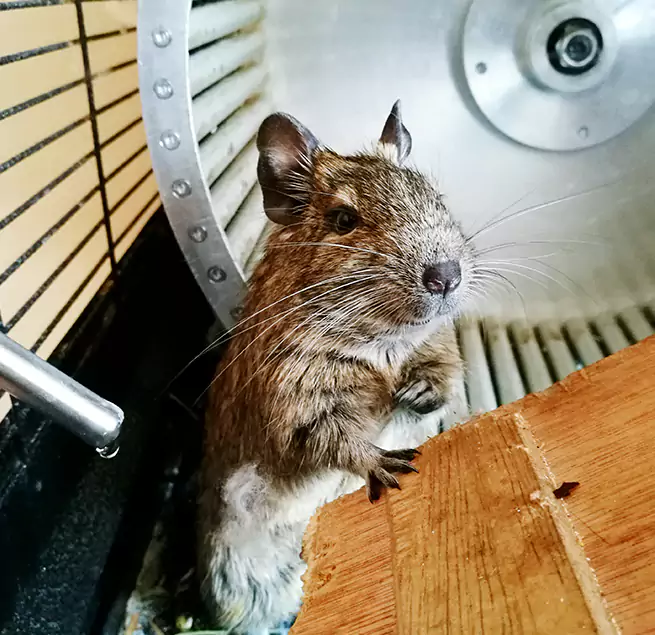 Why Homeowners & Businesses Trust Us North Massapequa, NY?