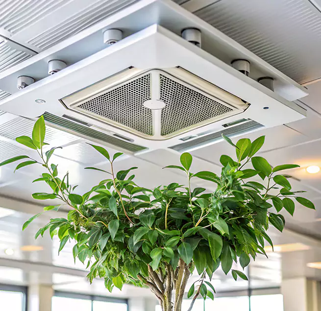 Why Homeowners & Businesses Trust Us in North Massapequa, NY